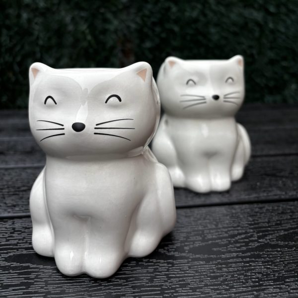 Quemador Gato