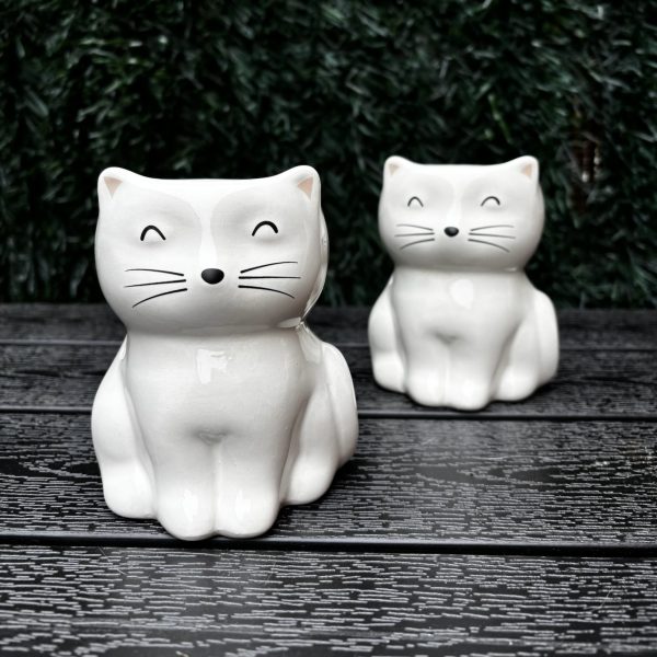 Quemador Gato