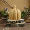 Pack Figuras Calabazas
