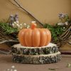 Pack Figuras Calabazas
