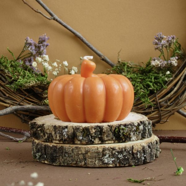 Pack Figuras Calabazas